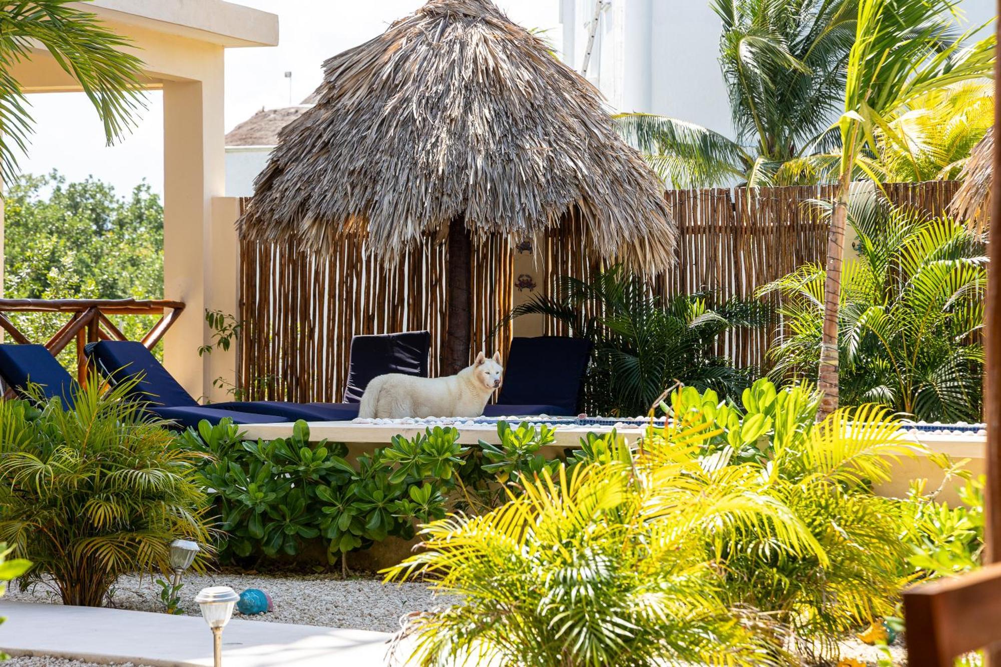 Atenea Holbox Екстер'єр фото